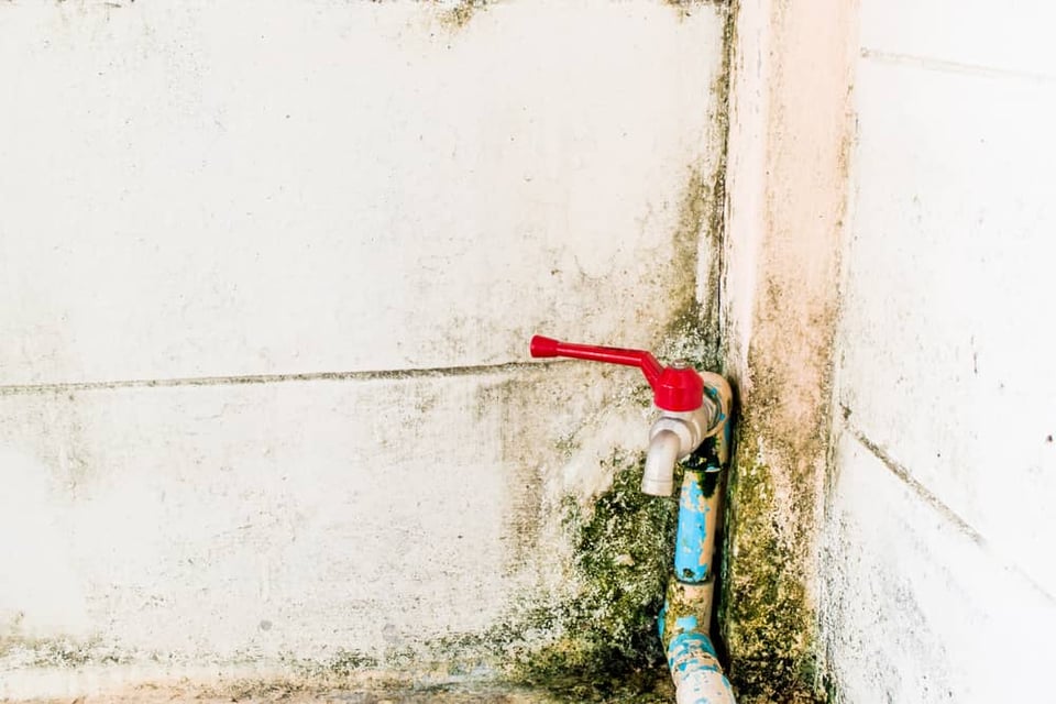 mold around spigot