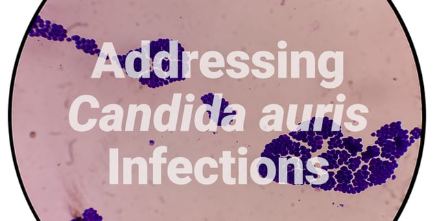 EvaClean Insights Newsletter March 2023 Candida auris free guide
