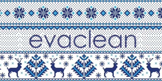 EvaClean Insights Monthly Newsletter December 2022